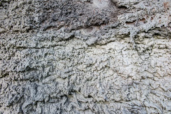 Maturitní Věže Lázní Ciechocinek Polsko Květen 2022 Fragmenty Zdí Vrstvou — Stock fotografie