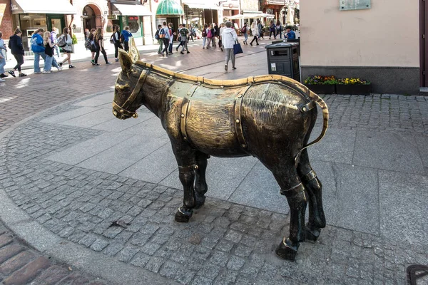 Torun Poland May 2022 Sculpture Donkey Old Town Torun — Stock Photo, Image