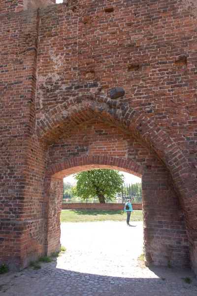 Chestnut Blooming Spring Visible Entrance Gate Old Town Torun Poland — Stock Photo, Image
