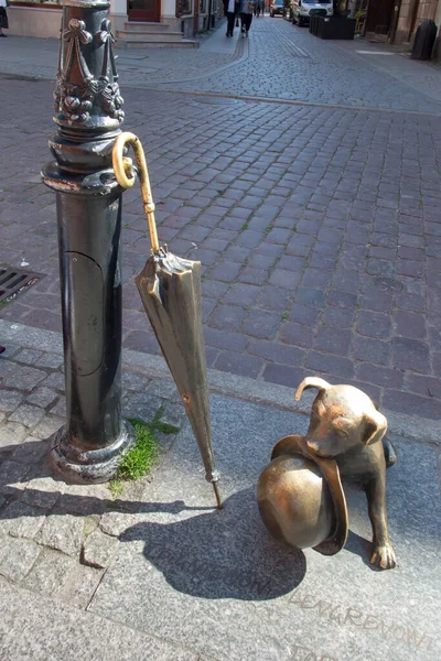 Torun Poland May 2022 Statue Tiny Dog Filus Filus Dog — Stock Photo, Image