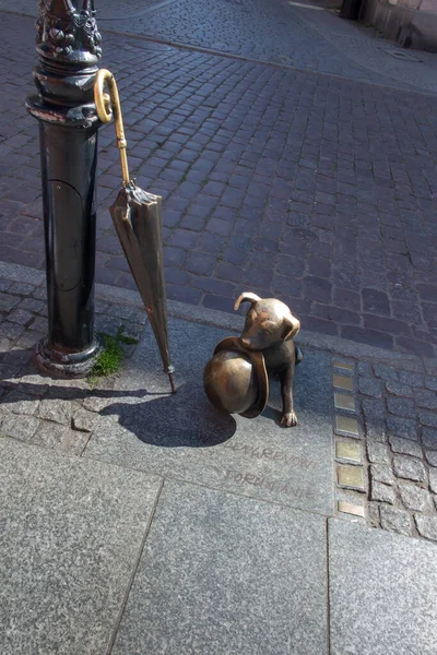 ポーランドのトルン 2022年5月9日 小さな犬Filusの像 FilusはZbigniew Lengrenの漫画のキャラクターであるFilutek教授の犬です 彫刻家Zbigniew Mikielewicz 2005年 — ストック写真