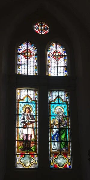 2022年5月9日 波兰锡乔西内克 位于波兰锡乔西内克的圣彼得和保罗学院教堂教堂窗户上的玻璃窗 描绘了圣安娜和圣伊西奥多 — 图库照片