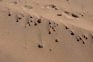 Gün batımından önce küçük deniz kabukları ve çakıl taşları olan kumsal.