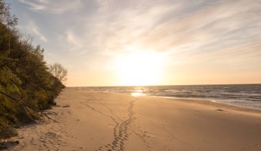 Bahar, gün batımında boş Baltık Denizi sahillerinde bir tür rahatlama olarak yürür..