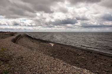Martılar ve diğer kuşlar Hel sahilinde, arka planda Puck Körfezi ve kıyı altyapısı.