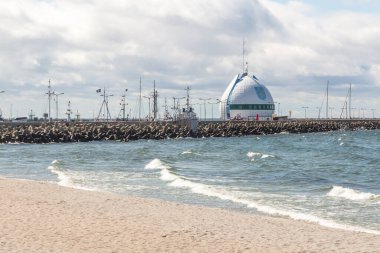 Martılar ve diğer kuşlar Hel sahilinde, arka planda Puck Körfezi ve kıyı altyapısı.