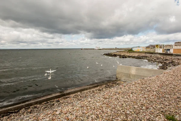 Seagulls Other Birds Beach Hel Background Bay Puck Coastal Infrastructure — Foto Stock