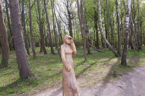 Wooden sculptures left after the open-air sculpture in the forest by the walking path along the Baltic Sea in Jastrzebia Gora. Inscription: