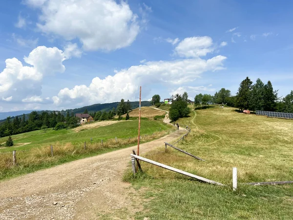 Mountain View Beskid Zywiecki Poland Area Hala Boracza — Fotografia de Stock