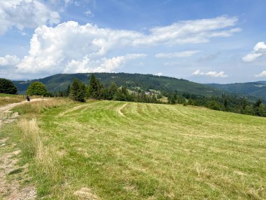 Mountain view in Beskid Zywiecki in Poland, area of Hala Boracza.