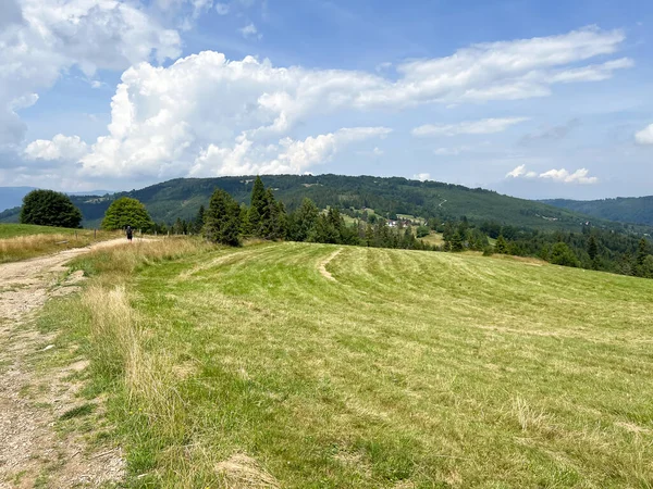 Mountain View Beskid Zywiecki Poland Area Hala Boracza — Fotografia de Stock