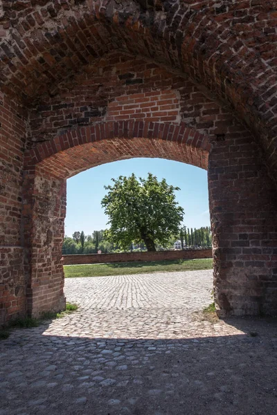 Chestnut Blooming Spring Visible Entrance Gate Old Town Torun Poland — Stock Photo, Image