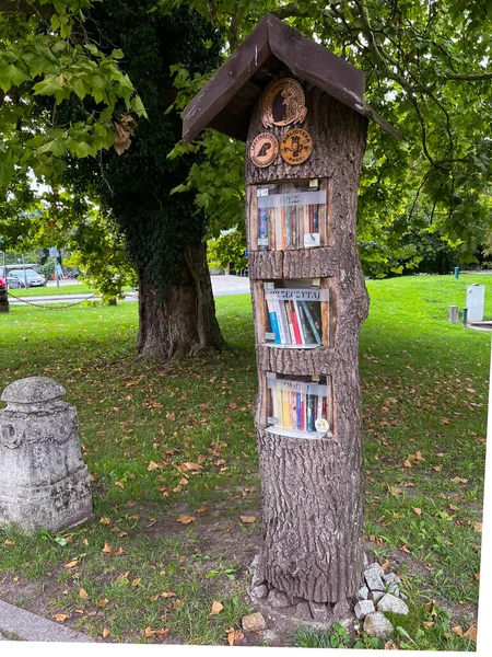 Way Popularize Reading Books Special Tree Trunk Space Books Inscription — Stock Photo, Image