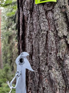 Polonya Pnömatik Alan Atışları Şampiyonası Kalety, Polonya. Polonya Açık 2022, FT, HFT ve NHFT kategorileri. Ormandaki çanlara yerleştirilmiş hedeflerle atış pozisyonları.