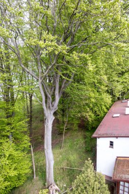 Baltık Denizi 'ndeki Rozewie deniz fenerinin manzarası. Kapının üstündeki yazı: Makine dairesi..