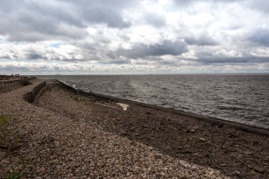 Martılar ve diğer kuşlar Hel sahilinde, arka planda Puck Körfezi ve kıyı altyapısı.