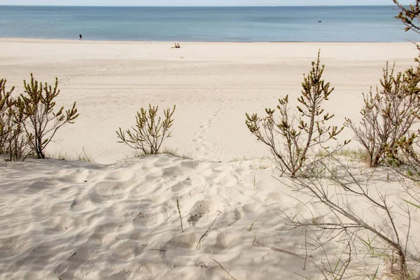 Sandy Beach Jastrzebia Gora Poland Shrubs Visible Edge Limiting Flow — Stock Photo, Image