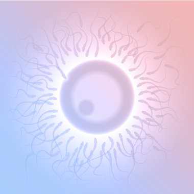 Döllenme içinde mikroskop bakış açısı