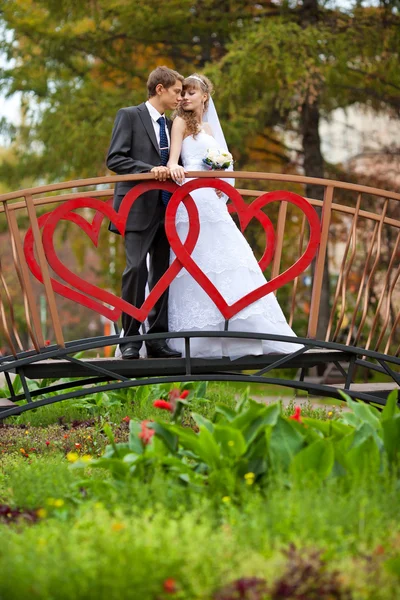 Wedding — Stock Photo, Image