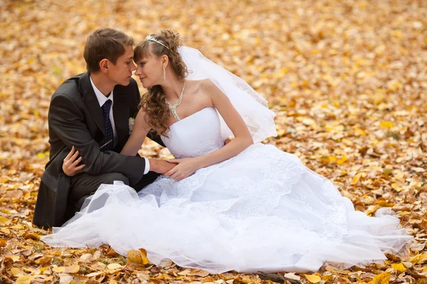 Boda — Foto de Stock