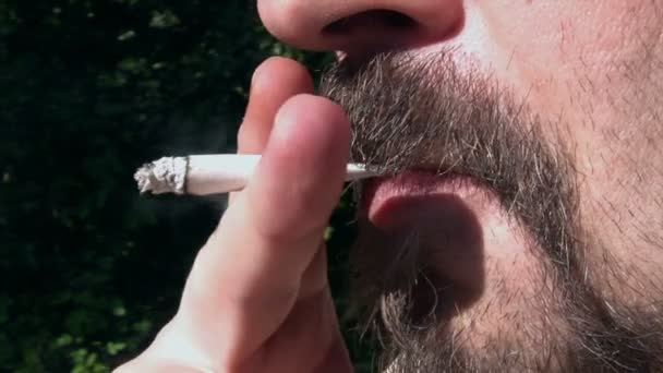 Smoking in the Garden — Stockvideo