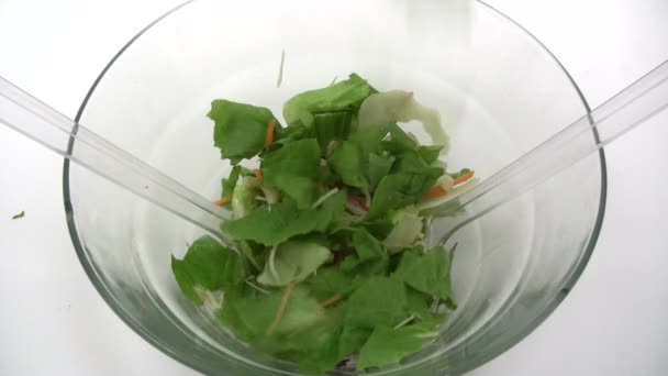 Förbereda en blandad sallad — Stockvideo