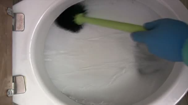 Cleaning the Toilet — Stock Video