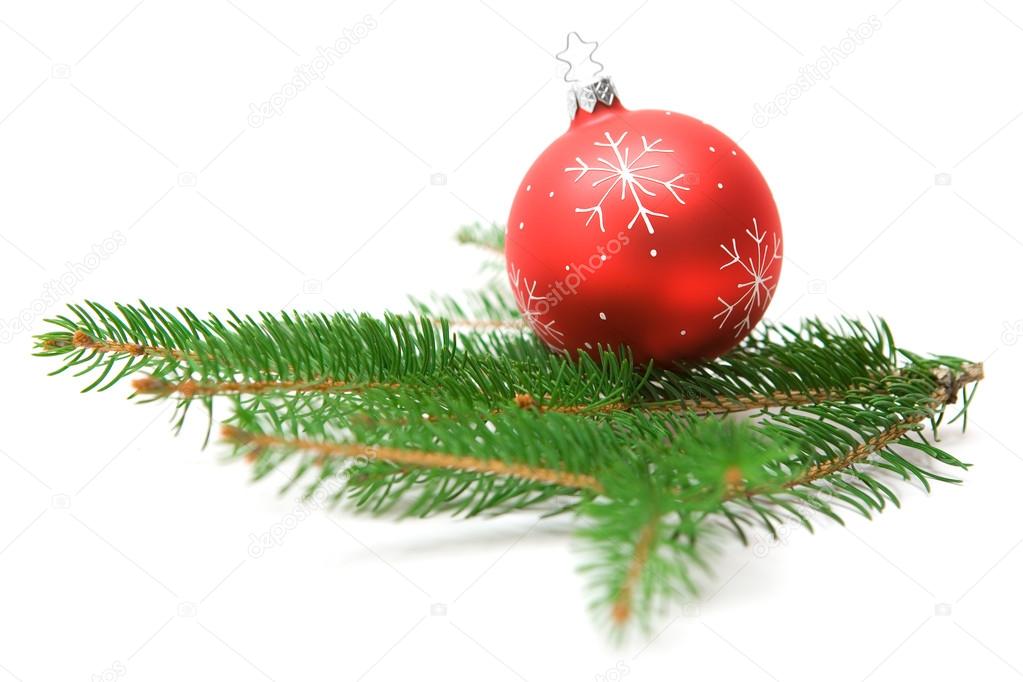 Christmas Bauble on Fir Branch