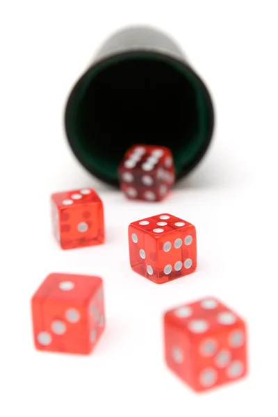 Rolling the Dice — Stock Photo, Image