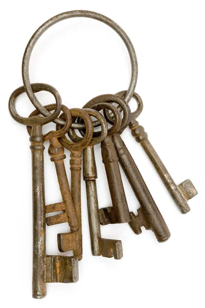 Ключи, Расти — стоковое фото