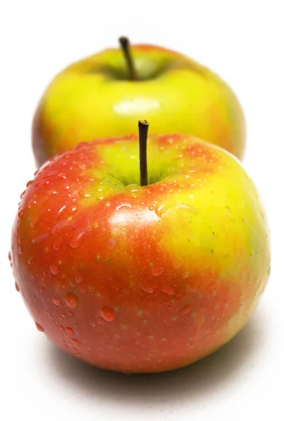 Twee kleurrijke appels met waterdrops — Stockfoto