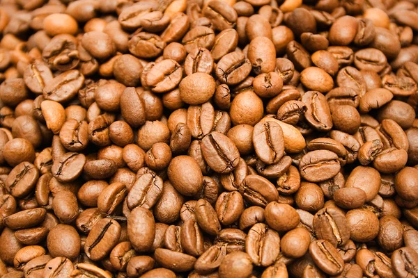 Achtergrond koffiebonen — Stockfoto