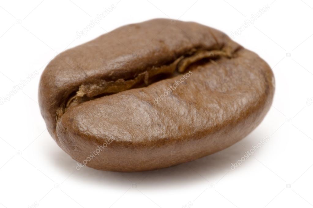Single Coffee Bean