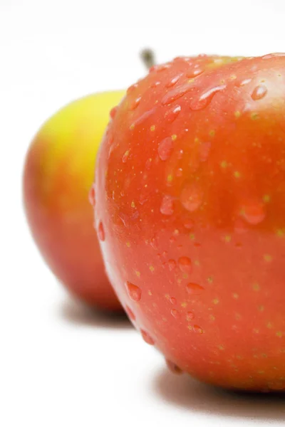 Zwei nasse Äpfel — Stockfoto