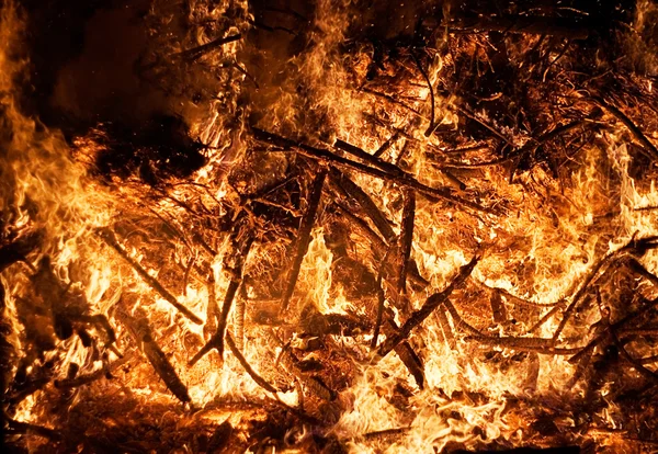 Forest Fire — Stock Photo, Image
