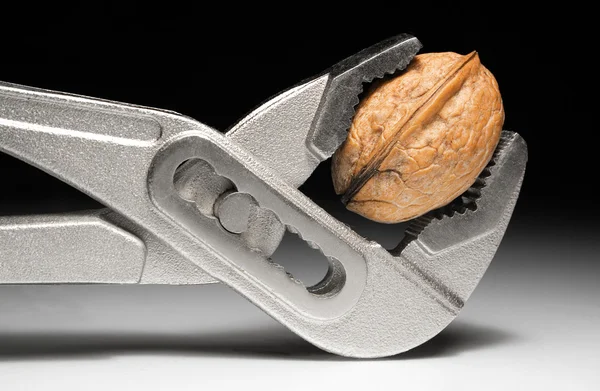 Metal Pliers and Walnut — Stock Photo, Image