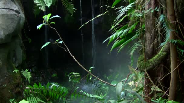 Cascade tropicale — Video