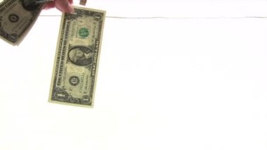 Doları banknot kurutma