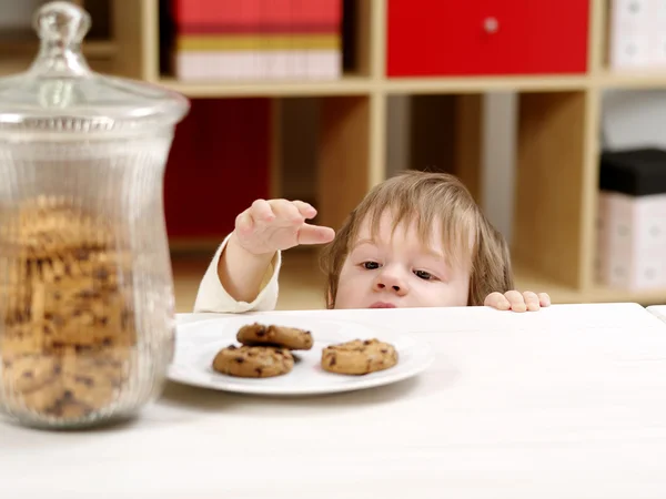 Liten pojke stjäla cookies — Stockfoto