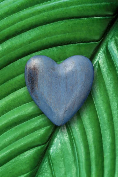 Corazón de madera sobre hoja verde — Foto de Stock