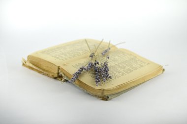 eski kitap ve lavanta açın