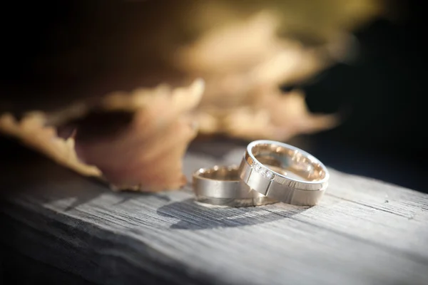 Anéis de casamento — Fotografia de Stock