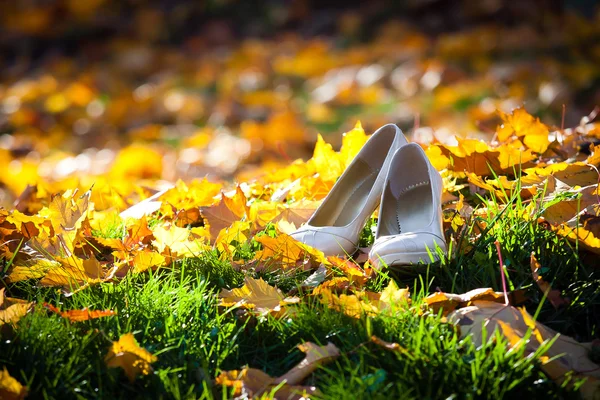 Zapatos novias en hojas doradas — Foto de Stock