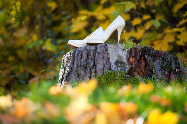 Scarpe di sposa su un tronco — Foto Stock