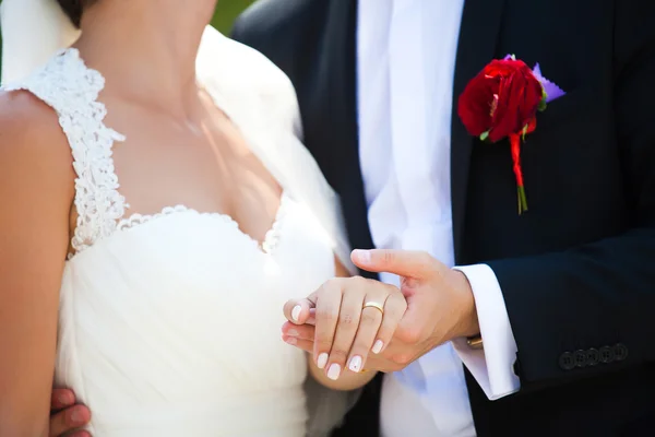 Novia y novio tomados de la mano — Foto de Stock