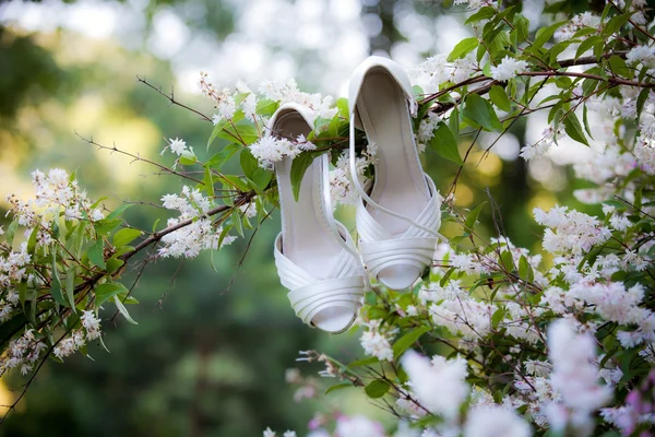 Bride's shoes on a log on rustic car — Stock Photo, Image