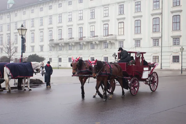 Despegue de transporte en las calles de Viena, Austia —  Fotos de Stock