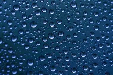 yağmur su damlaları