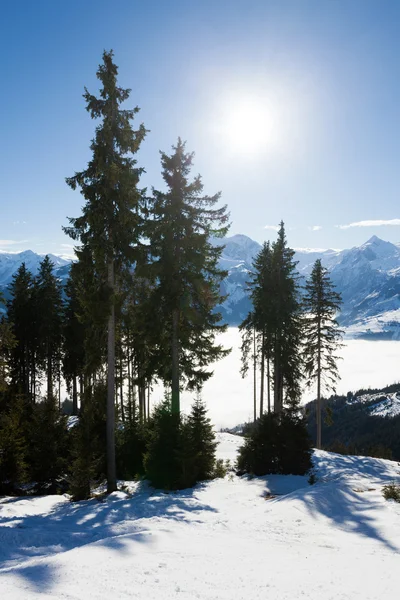 Vinter i zell am se resort — Stockfoto