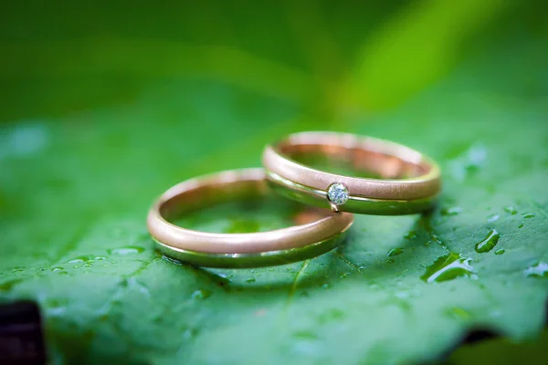 Dos anillos de boda en una hoja — Foto de Stock